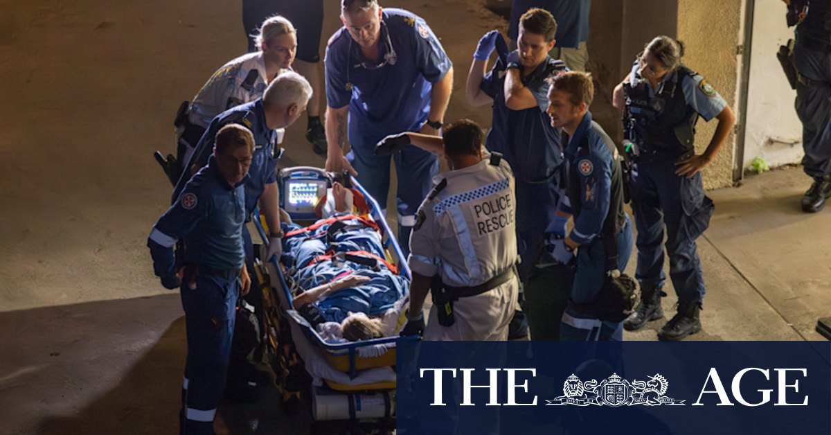 Elizabeth Bay shark attack: Woman receives severe injuries in Sydney's eastern suburbs - Vimarsana News