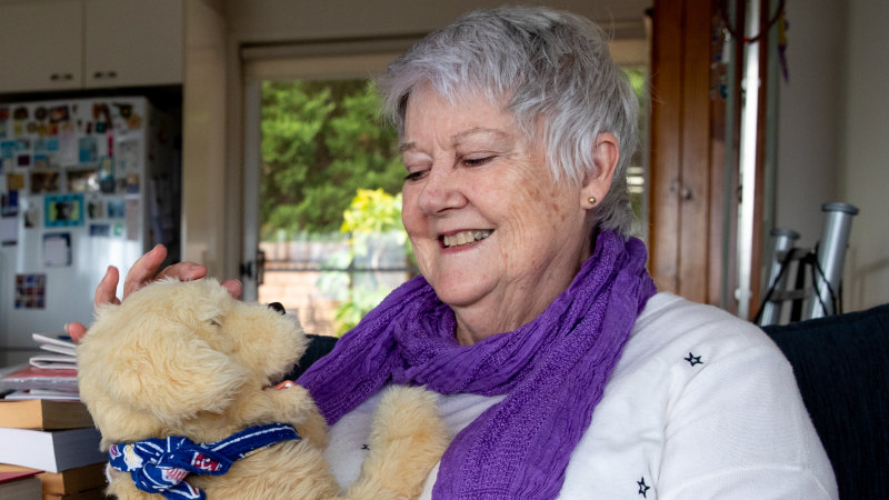 Dementia toy dogs sale