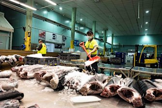Fresh seafood is prepared at the Sydney Fish Market.