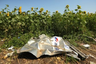 A piece of plane debris at one of the sites where the front section of Malaysian flight MH17 crashed in Ukraine.