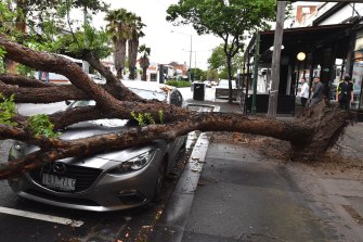 A tree has fallen on a vehicle blocking Bay Road in Port Melbourne after heavy storms last week. 29th October 2021 The Age news Picture by Joe Armao 