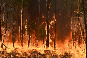 CSIRO climate scientist Pep Canadell says climate change is the “overwhelming factor” driving a massive increase in bushfires in Australia. 