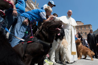 This is not the first time Pope Francis has taken a swipe at pet ownership.  