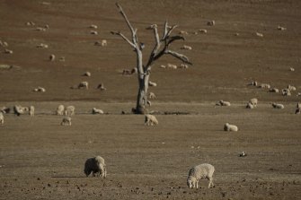 Southern Australia is already on a long-term drying trend and climate models suggest those changes will continue as greenhouse gas emissions rise.