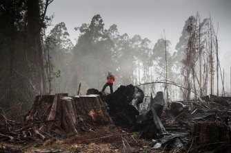 Land clearing has been identified as a chief culprit in the escalating threat to Australia’s wildlife and habitat.
