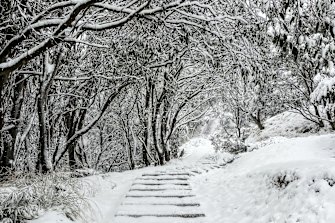 Snow at Falls Creek in Victoria ahead of the official opening of the ski season. 

