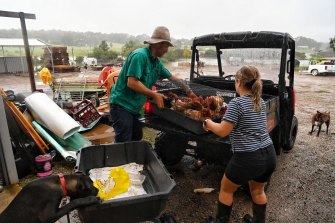 Dan Streat and his daughter, Isabella, rescue their chickens as floodwaters rise around their Pitt Town property.