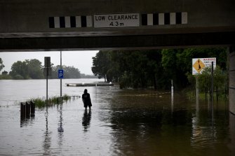The Nepean River on the rise in Windsor, north-west of Sydney, last week