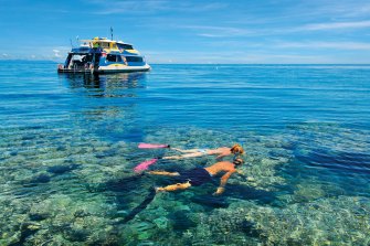 Recent border closures and COVID outbreaks are slashing reef visitor numbers from New South Wales and Victoria, in addition to international tourists.