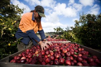 There has been a surge in the number of foreigners showing interest in vacant Australian jobs with agricultural positions in high demand.