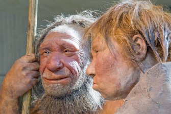 Neanderthal infants developed teeth earlier than their modern human counterparts, new research has confirmed.
