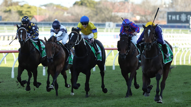 Ha Ha Ha (right) is the top selection in the Coffs Harbour Cup.