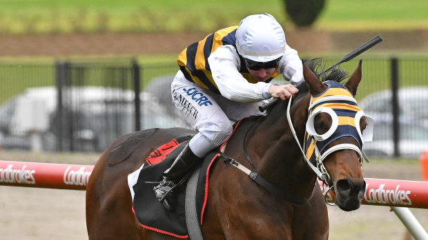 Inverloch was part of a treble for Linda Meech at Moonee Valley.
