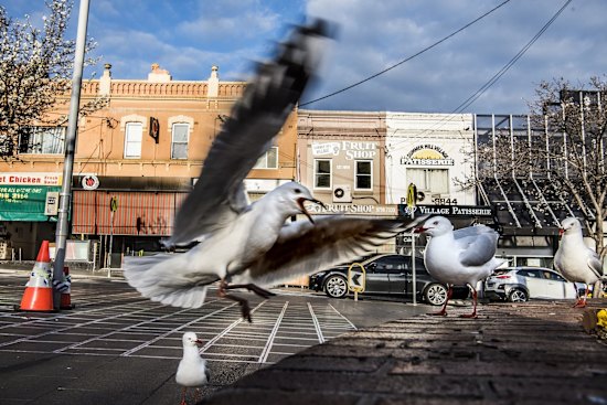 Summer Hill shopping strip which is full of small businesses.
26th August 2021
Photo: Steven Siewert