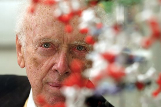 Pioneering biologist James Watson pictured in 2004.