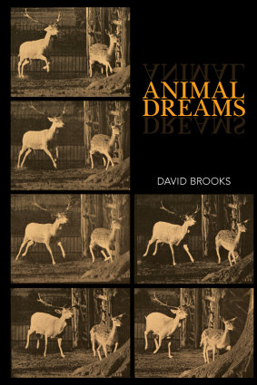 <i>Animal Dreams</i> by David Brooks