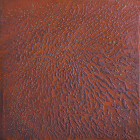 Catherine Woo, <i>Red earth II</i> in <i>Force of nature</i> at Beaver Galleries.