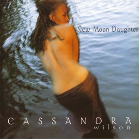 The 1995 album, New Moon Daughter.