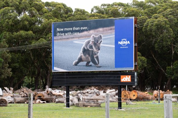 A sign in the Port Stephens region. The local koala population is under stress due to the destruction of their habitat as more people move into the region.