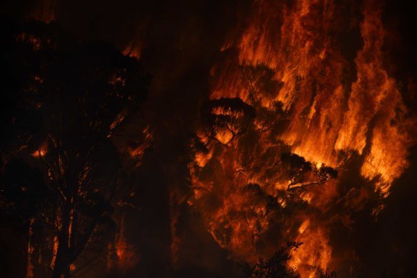 Bushfires hit properties at Yatte Yattah, north of Milton, on NSW's South Coast.