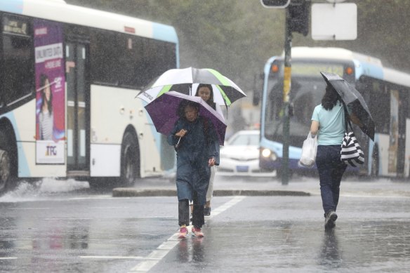 Less concrete and asphalt, and more trees, ponds and soil, would enable urban areas to hold more water.