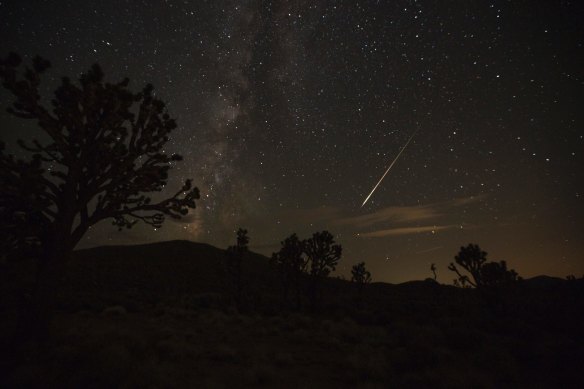 The meteor shower will appear as shooting stars and flashes of light, low on the horizon.