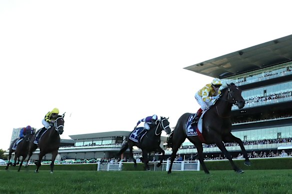 Sir Delius showed his true class when romping home in the Queen Elizabeth Stakes at Randwick in April.