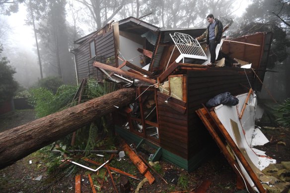 James Pickford was very lucky to escape after a large tree smashed through his Olinda bedroom, east of Melbourne, earlier this month.