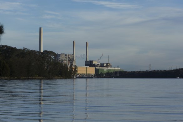 The Vales Point coal plant says excessive pollution levels from its discharges can be blamed on dirty water in Lake Macquarie.