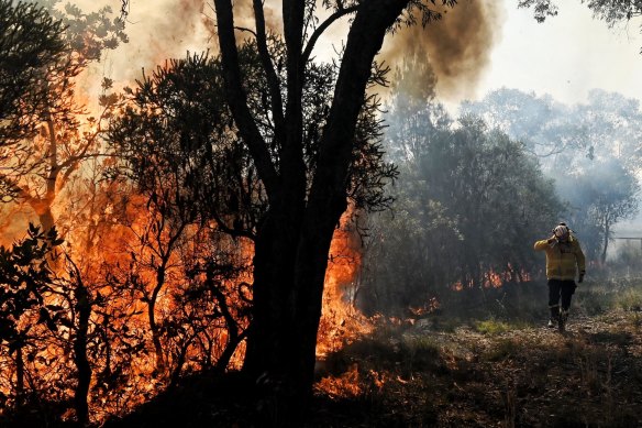 Hazard reduction burns in Sydney’s north have caused poor air quality in parts of the city. 