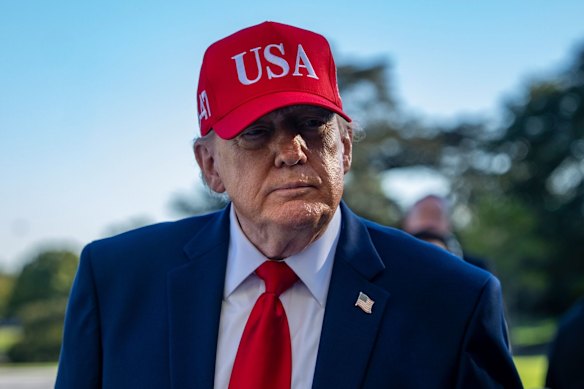 Il presidente degli Stati Uniti Donald Trump ha detto che sta valutando se gli Stati Uniti debbano unirsi agli attacchi sauditi contro i ribelli Houthi.