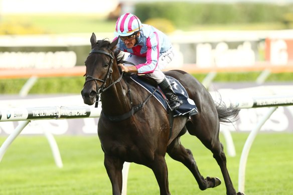 Azkadellia could return to racing as an eight-year-old following a three-and-a-half year ban.