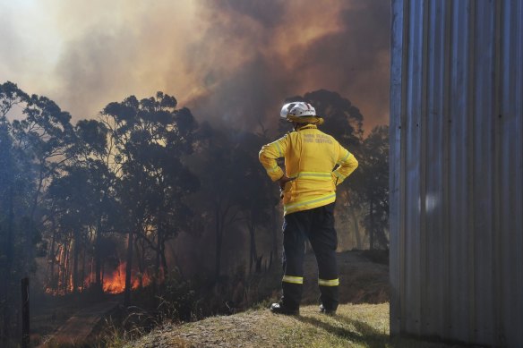 RFS and residents battle to stop the Gospers Mountain fire from destroying homes in Colo Heights.