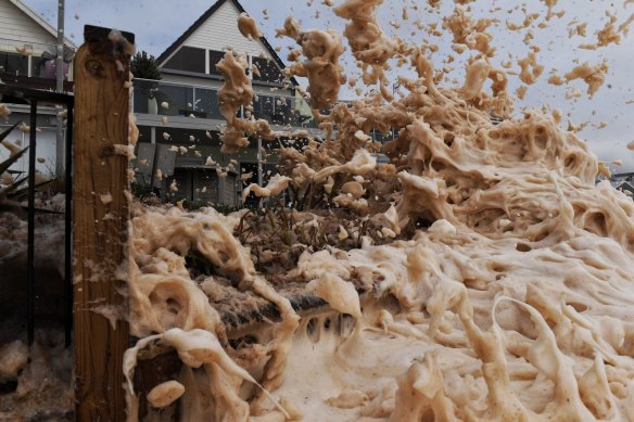 Foam explodes over the fences of beachside properties in Collaroy. 