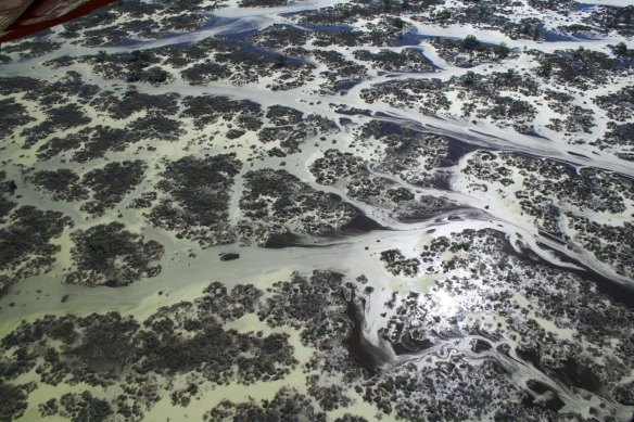 Narran Lakes in the northern Murray-Darling Basin. 