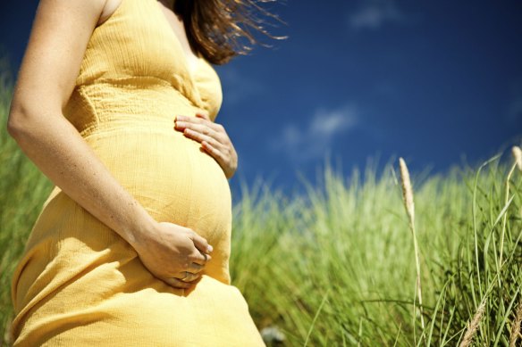 Pregnancies are expected to drop as couples remain wary of the crisis.