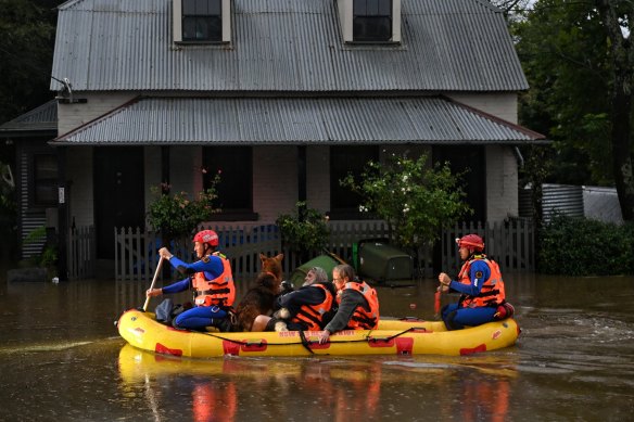 SES rescue Windsor residents after the Hawkesbury River floods across the region.
