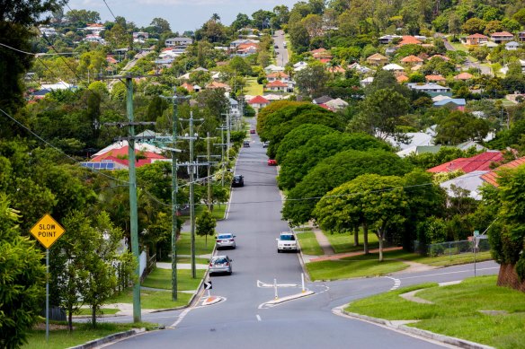 Questions about the number of street trees actually now being planted around Brisbane.