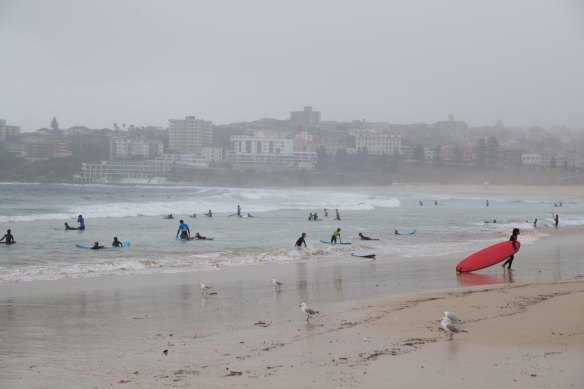 Friday was not a typical summer's day at Bondi Beach in terms of crowds.