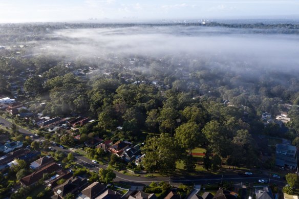 Hornsby Shire Council had the greatest tree canopy cover in Sydney at 78.6 per cent in 2020.