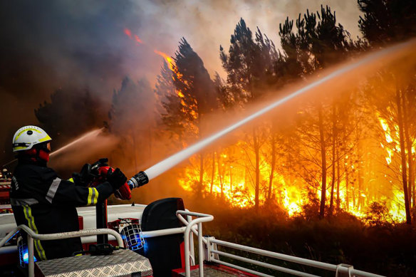 Firefighters work to put out a bushfire near Landiras, near Bordeaux, south-western France.