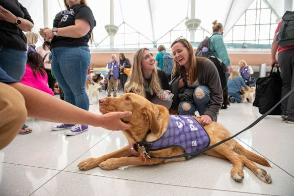 Meet the Canine Airport Therapy Squad (CATS).
