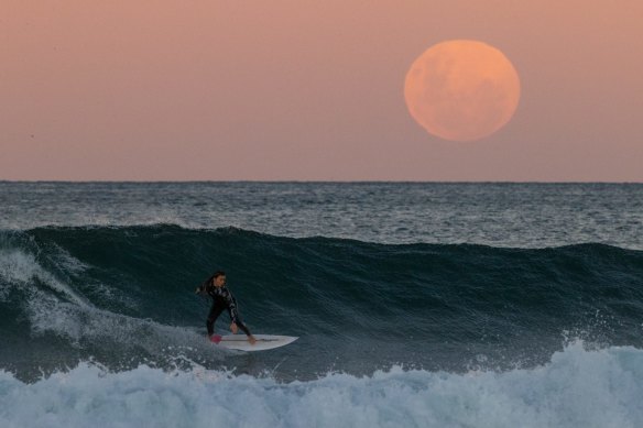 A surfer rides a wave as a super blood moon rises above Sydney’s Manly beach in May 2021. 