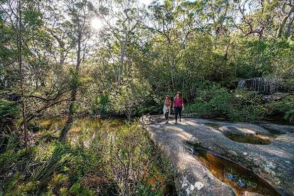 Ku-ring-gai Chase National Park.