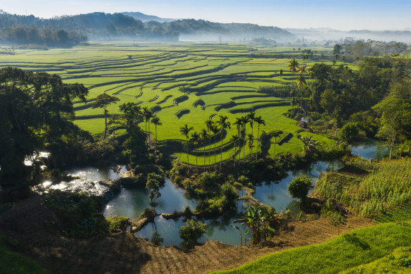 Sumba is home to largely a subsistence culture.