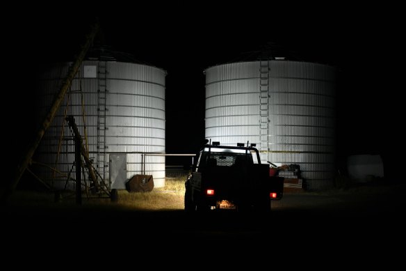 NSW farmer Jason Hogland monitors his grain silos, where mice tend to congregate at night. 