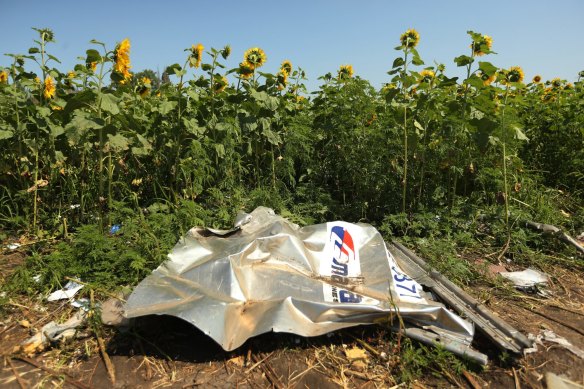 A piece of plane debris at one of the sites where the front section MH17 crashed in Ukraine.