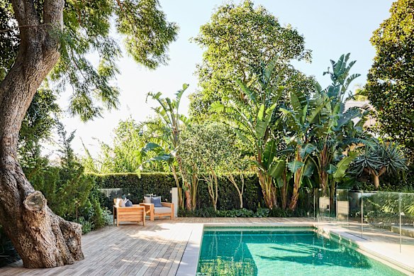  Jacaranda House in Rose Bay – botanical plants and natives sit together comfortably.