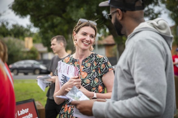 Labor member for Footscray Katie Hall said land banking was a “scourge” in her seat.