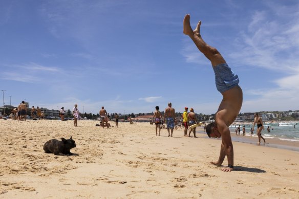 Sydneysiders did not let a record high number of coronavirus cases stop them from enjoying the warm weather on Saturday. 